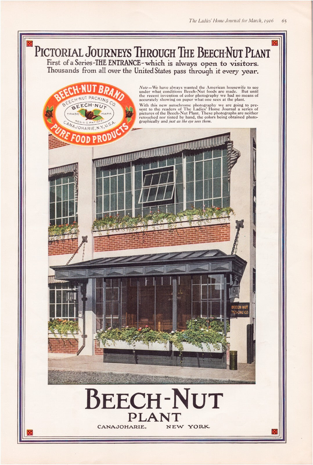 Beech-Nut 1916 Factory Exterior Print Ad Canajoharie New York Full Page 11 x 16