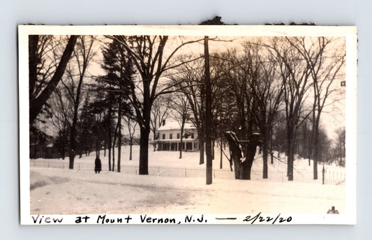Mount Vernon New Jersey Winter Estate Grounds Snow Scene 1920 Photo - 2.5 x 4.25