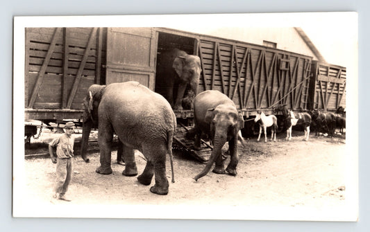 Antique Photo Gentry Bros Circus 1922 Elephants Unloading Train Car 5.5" x 3.5"