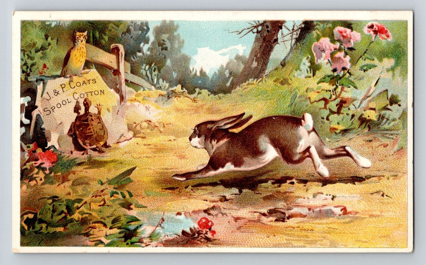 J P Coats thread advertising trade card tortoise hare owl sewing cotton illustration 1890s Victorian Trade Card