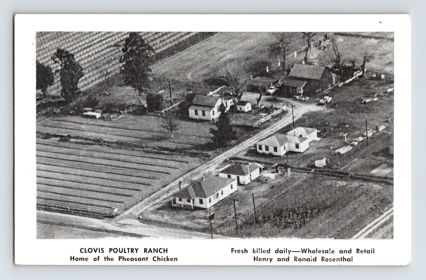 Clovis Poultry Ranch Fresno California aerial farm 1940s black and white postcard unposted