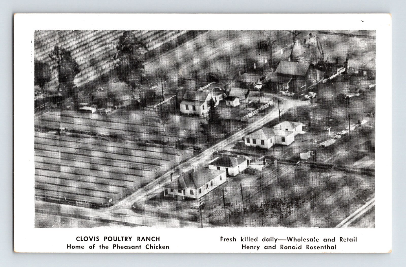 Clovis Poultry Ranch Fresno California aerial farm 1940s black and white postcard unposted