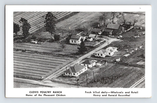 Clovis Poultry Ranch Fresno California aerial farm 1940s black and white postcard unposted