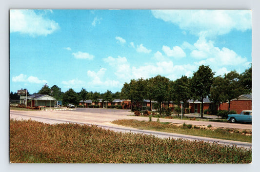 1960s chrome postcard showing the Shamrock Motel in Montgomery, Alabama, with low-rise brick motel units, roadside frontage, and parked automobiles along a divided highway.