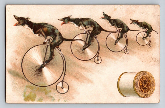 Victorian trade card for J P Coats thread featuring greyhound dogs riding penny farthing bicycles with spool of thread illustration