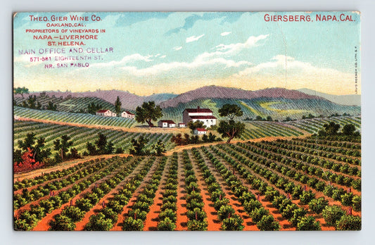 Napa California Giersberg and Gier Wine Company vineyard with rows of grapevines and winery buildings in rolling hills, 1910s postcard