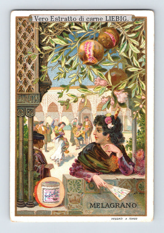 Liebig meat extract Victorian trade card pomegranate melagrano Italy series
