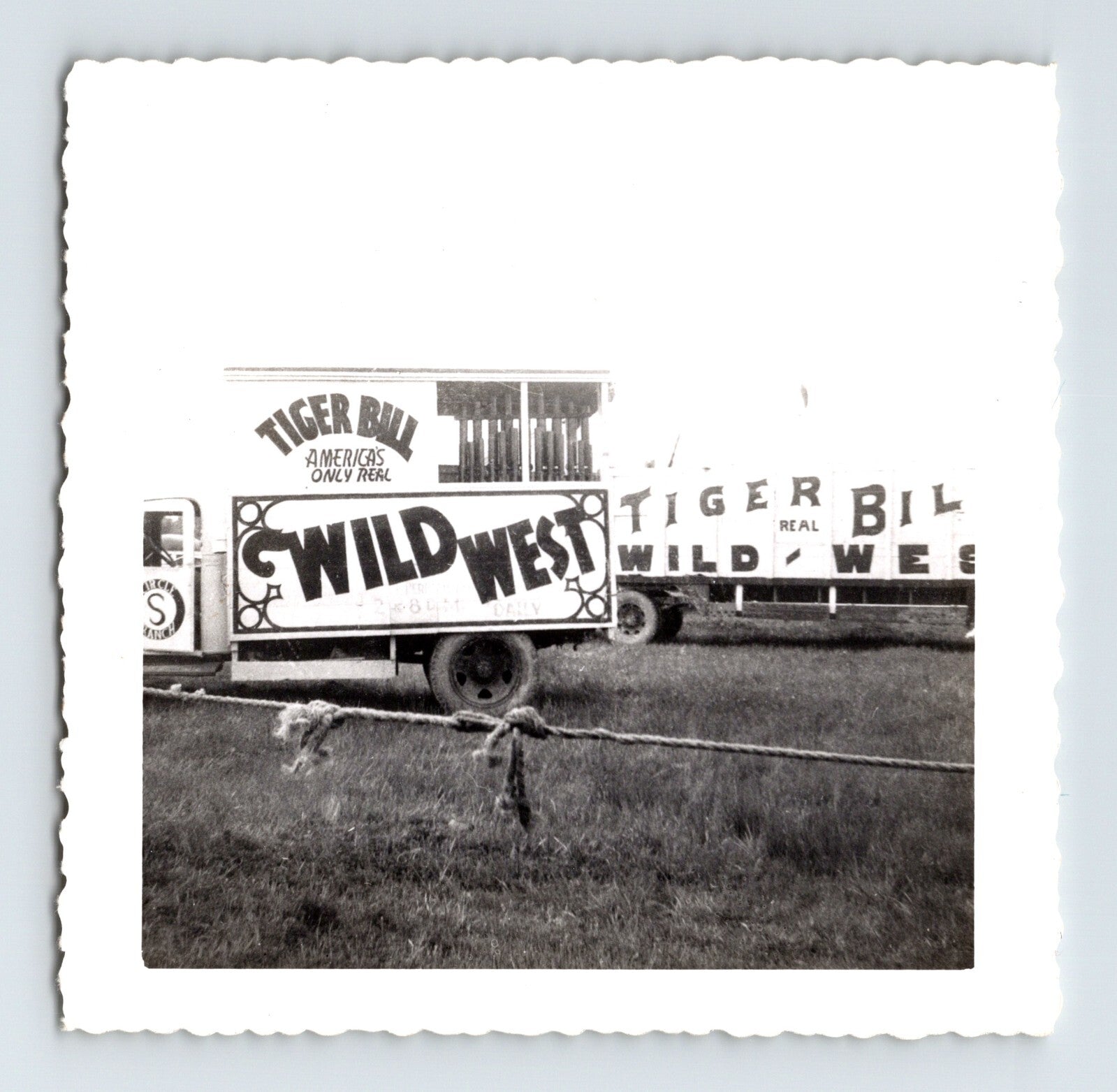Black-and-white 1952 snapshot photograph showing Tiger Bill’s Wild West circus trucks and trailers with large painted show signage on a grassy circus lot.