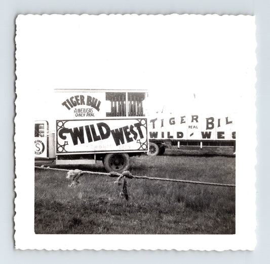 Black-and-white 1952 snapshot photograph showing Tiger Bill’s Wild West circus trucks and trailers with large painted show signage on a grassy circus lot.
