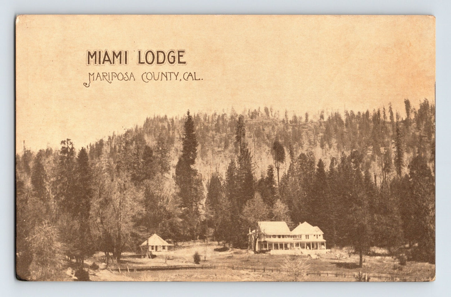 Miami Lodge Mariposa County California mountain resort hotel among pine forest 1910s postcard 