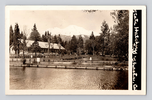 Mount Shasta California McCloud River Fish Hatchery ponds real photo postcard