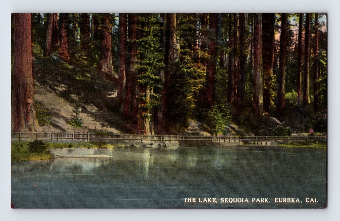 Eureka California Sequoia Park Lake 1910s Postcard Unposted Divided Back
