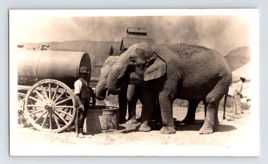 Gentry Bros Circus elephants at water trough with handler 1922 antique photo 5.5 x 3.5