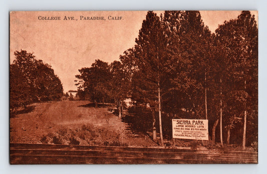 Paradise California College Avenue Sierra Park real estate sign tree lined road 1920s postcard