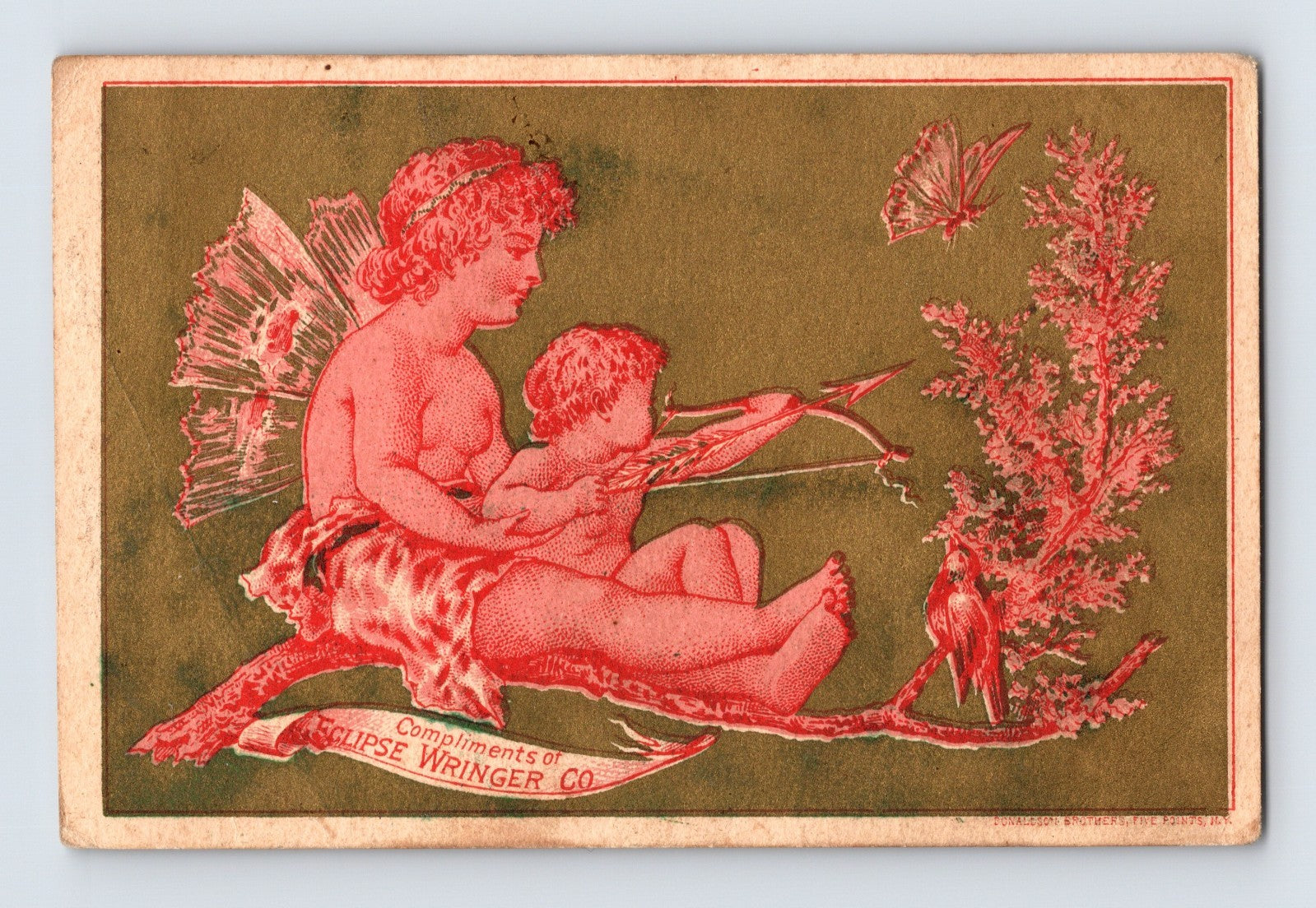 Eclipse Wringer Victorian trade card featuring cupid figures aiming arrows at birds, 3 x 4.5