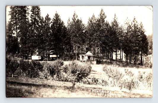 Applegate California Pinewood Resort 1916 RPPC Postcard Posted Divided Back