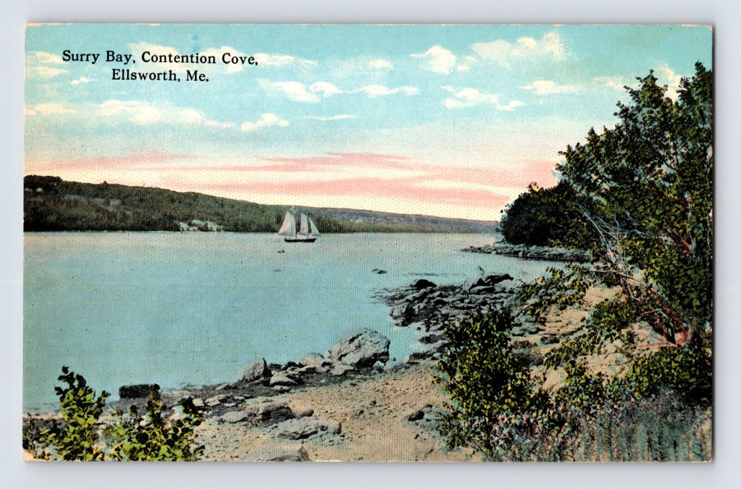 Ellsworth Maine Surry Bay Contention Cove 1910s Postcard Unposted Divided Back