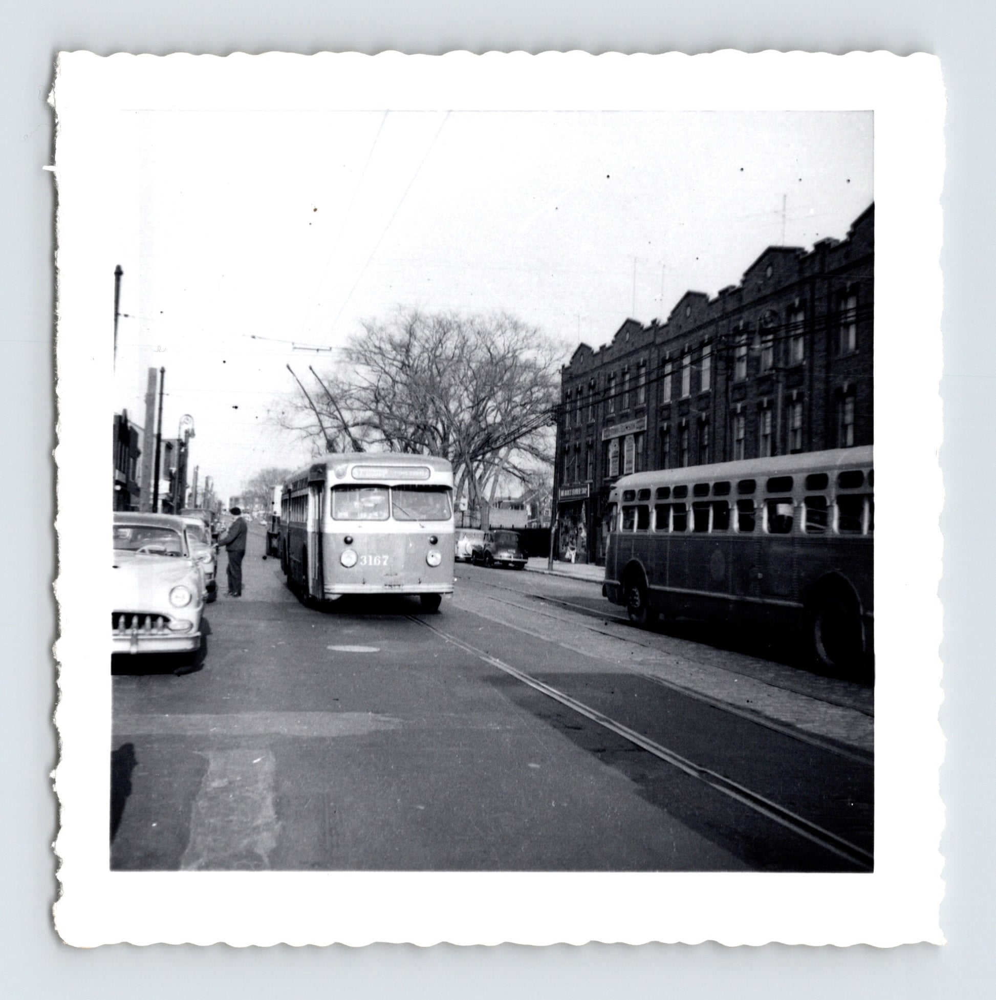 Flushing Avenue Line trolley bus no 3167 St Louis Missouri 420 Series GMC scalloped edge photo 1960s